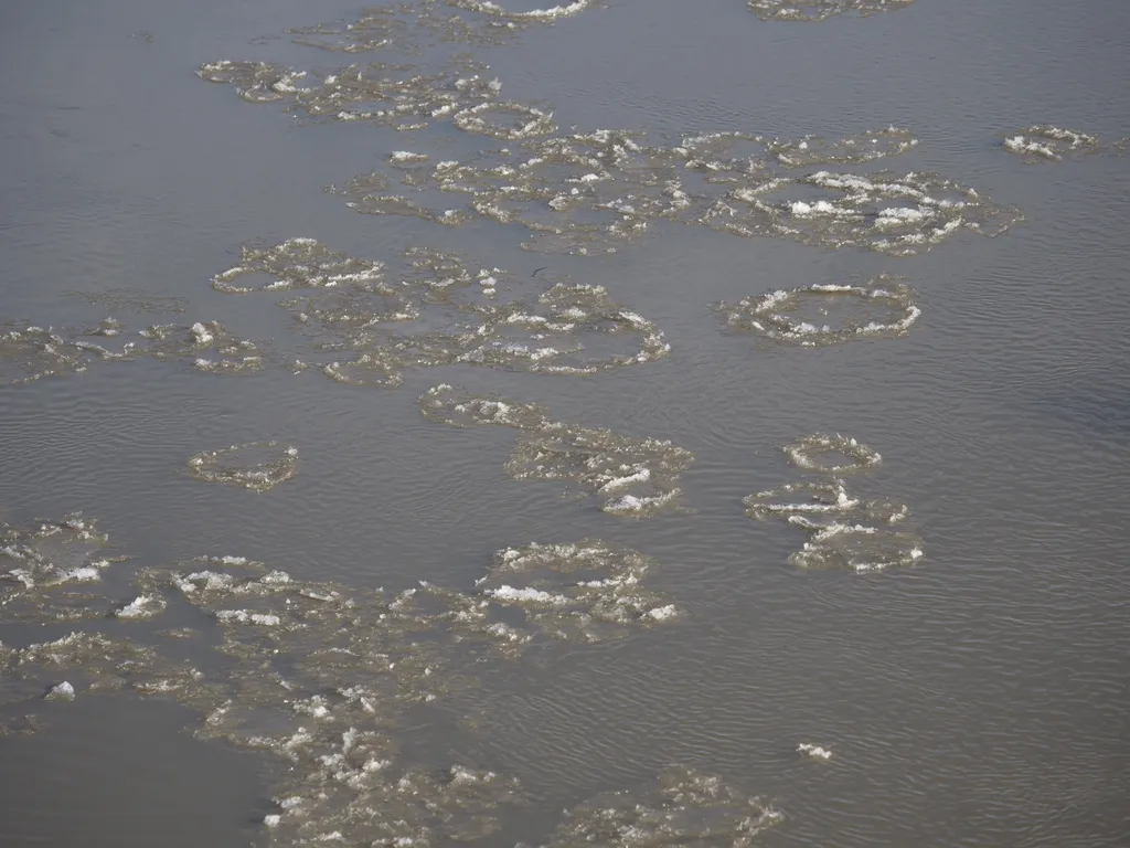 ice floating on a river