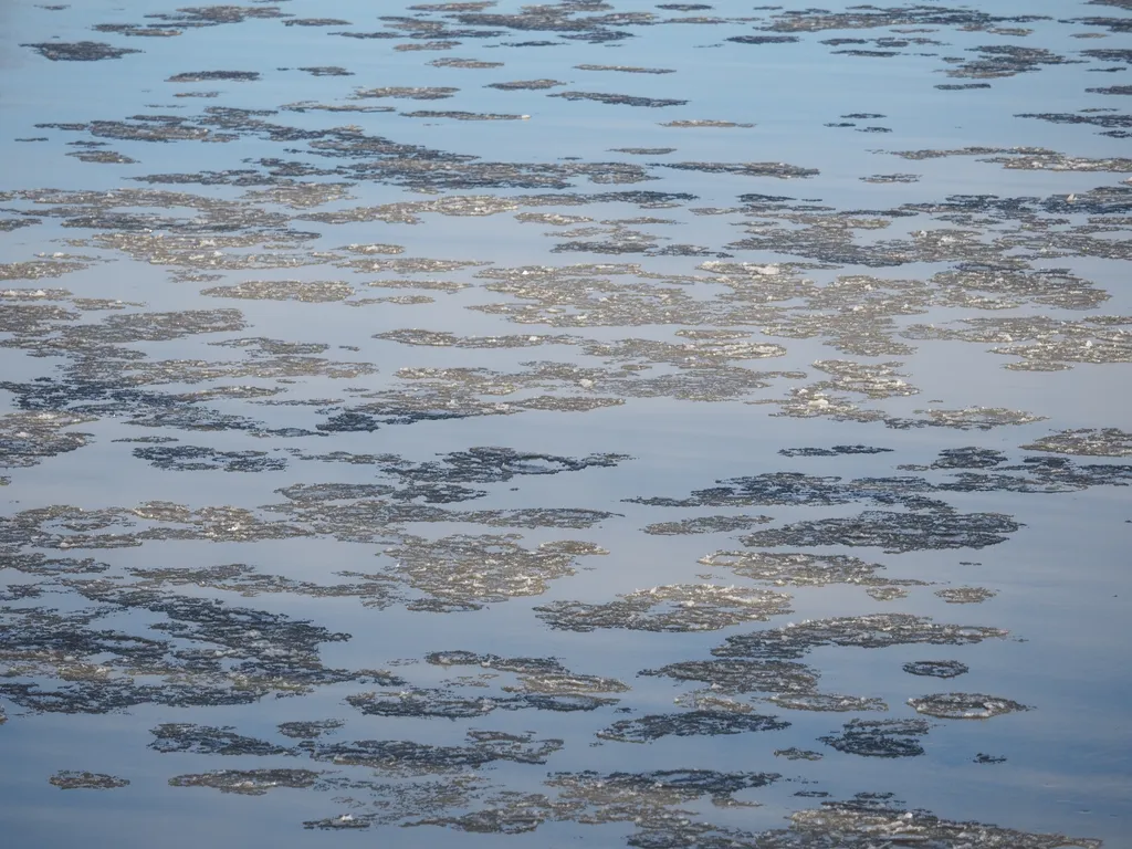 ice floating on a river