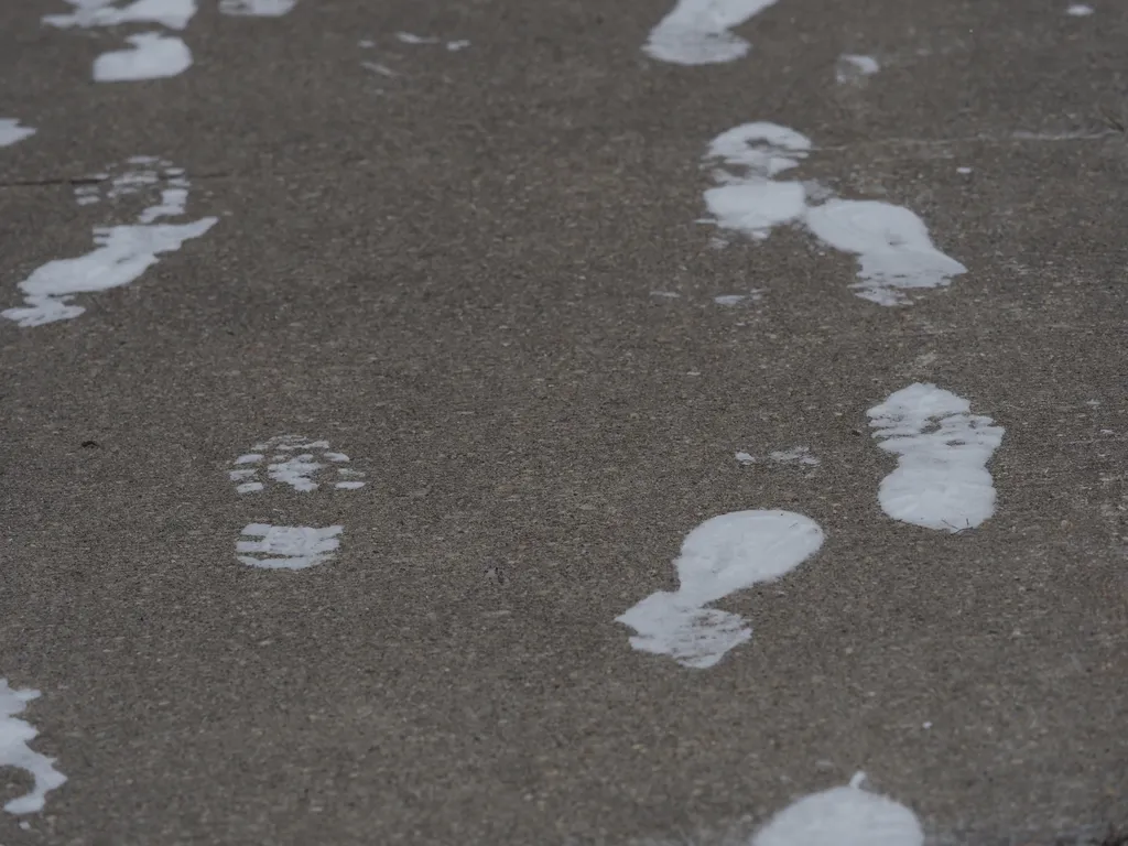 snowy footprints