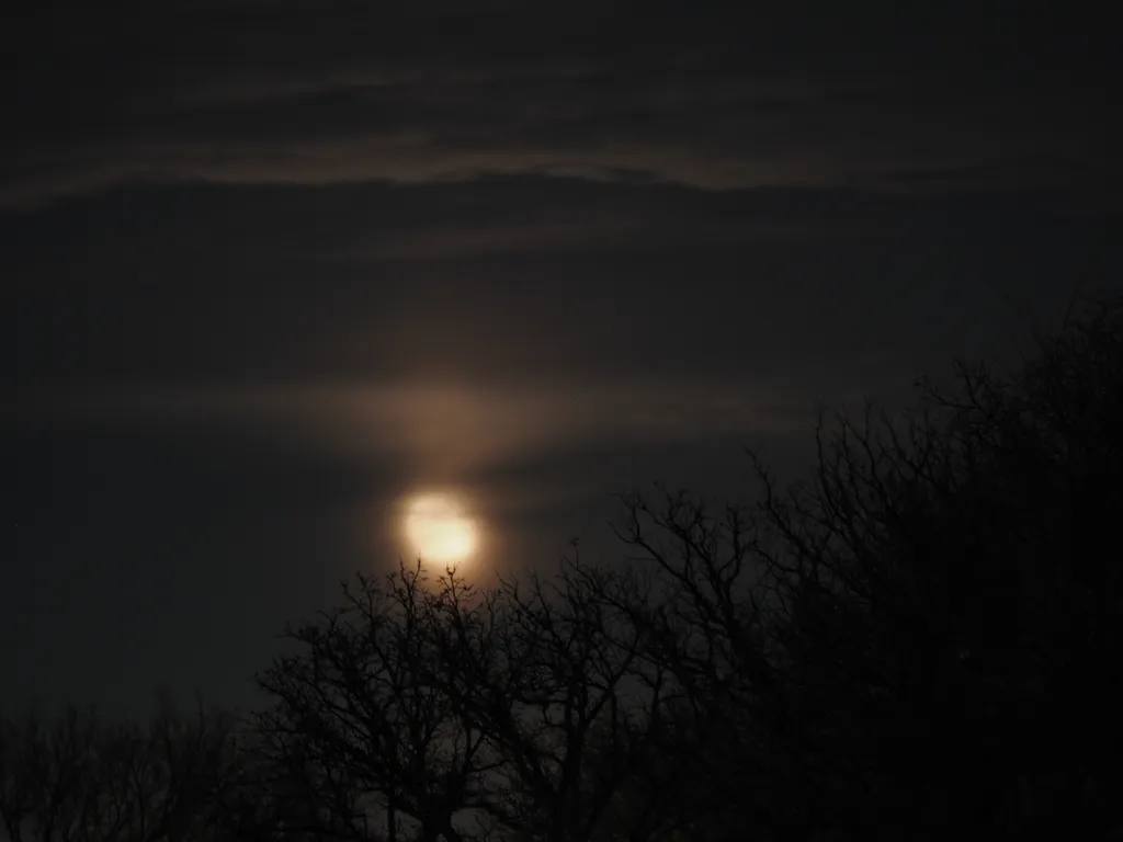 a shining moon behind clouds