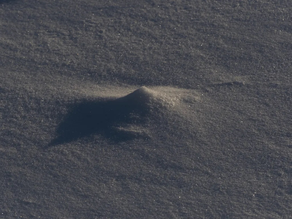 a small mound of snow