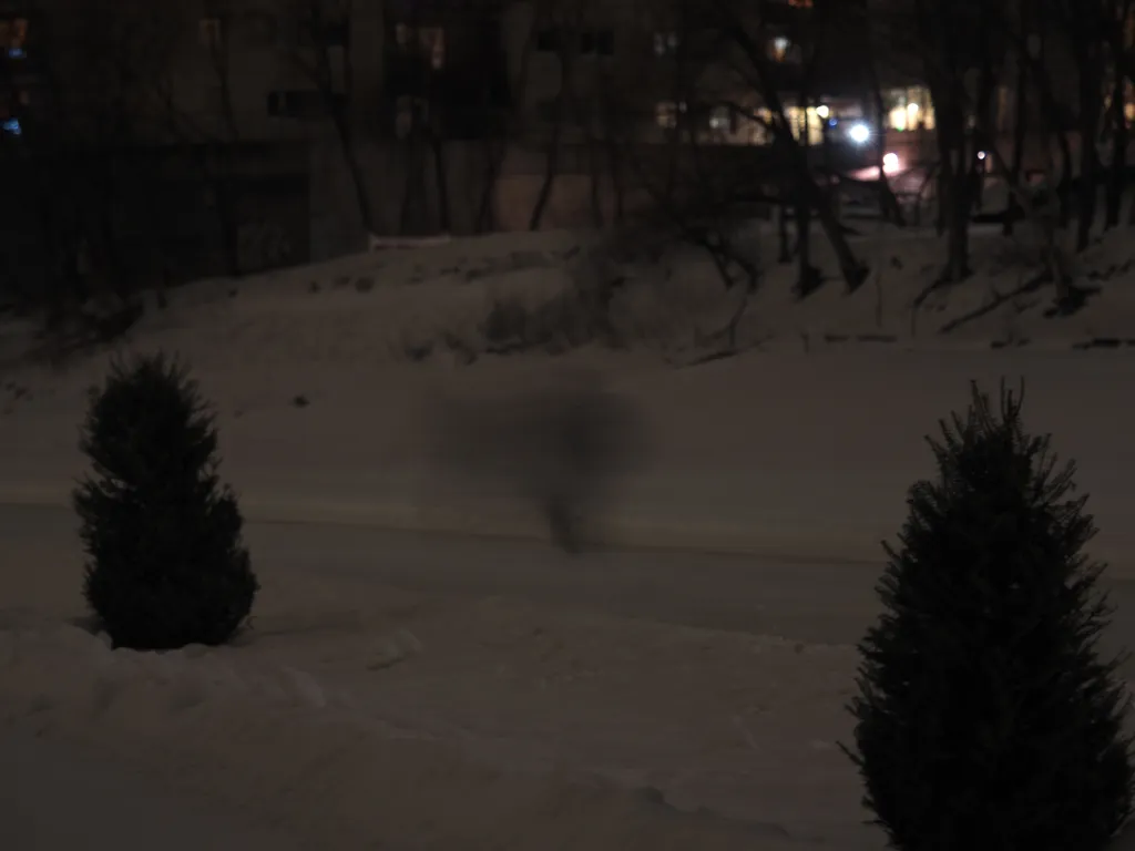 the blur of a skater at night