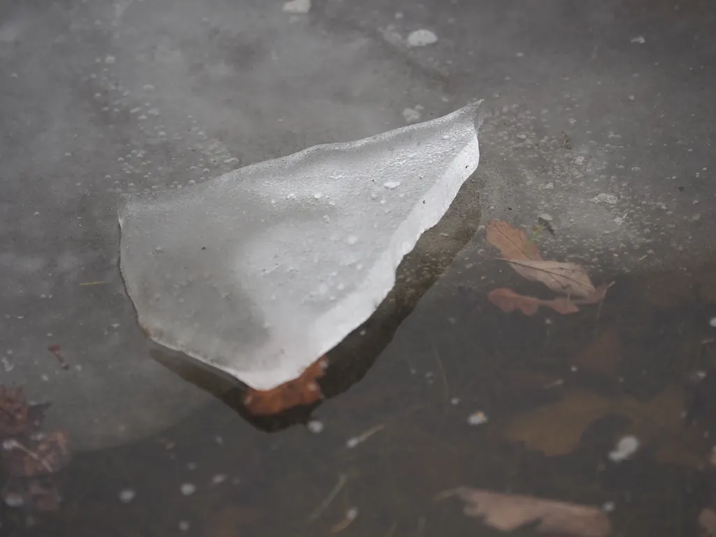 ice on a puddle