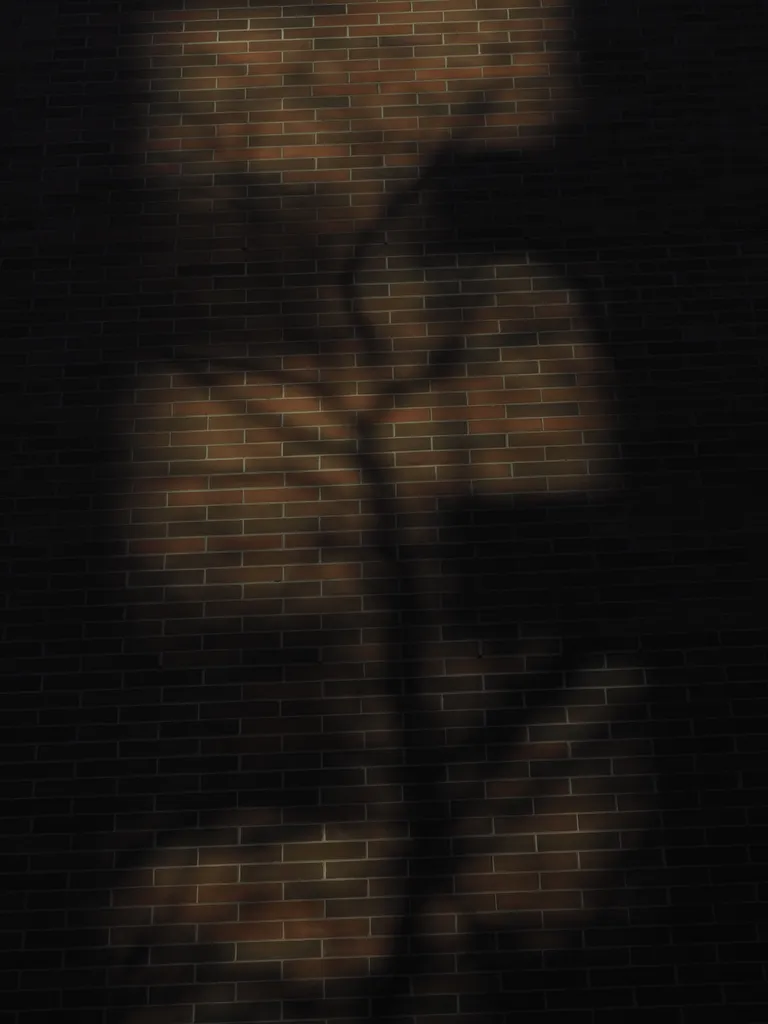 the shadow of a tree on a brick wall
