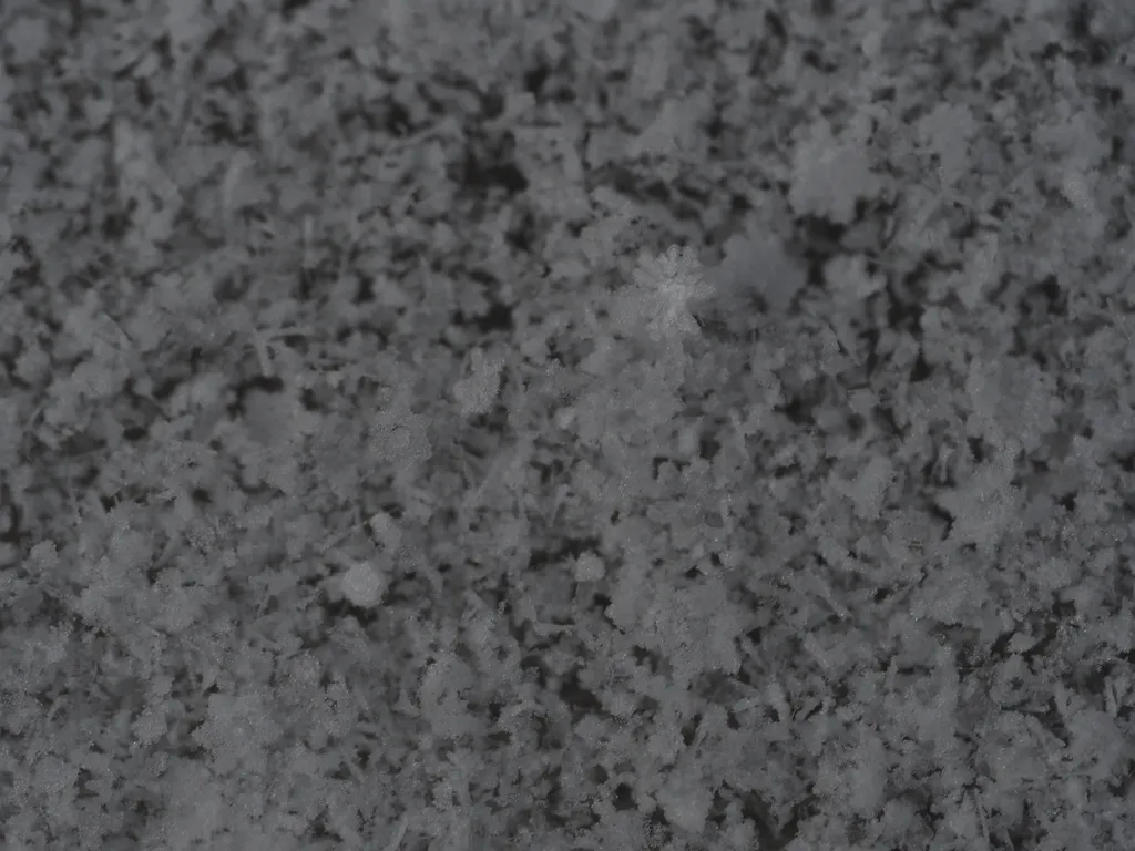 a layer of snow/frost