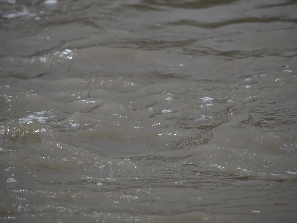the surface of a river