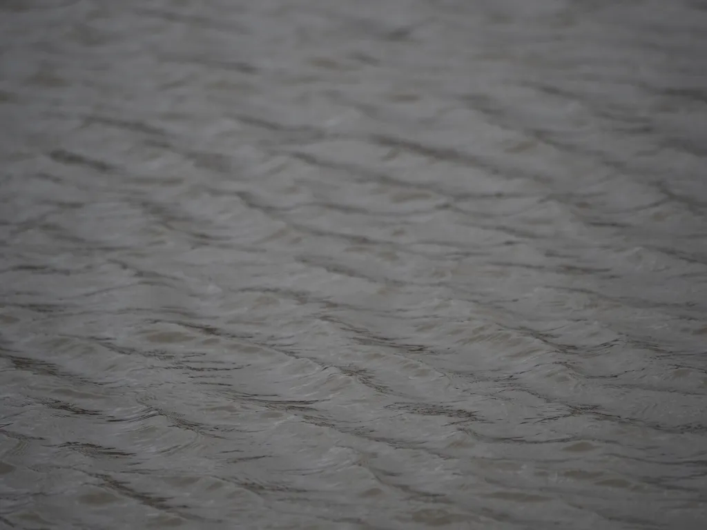 the surface of a river