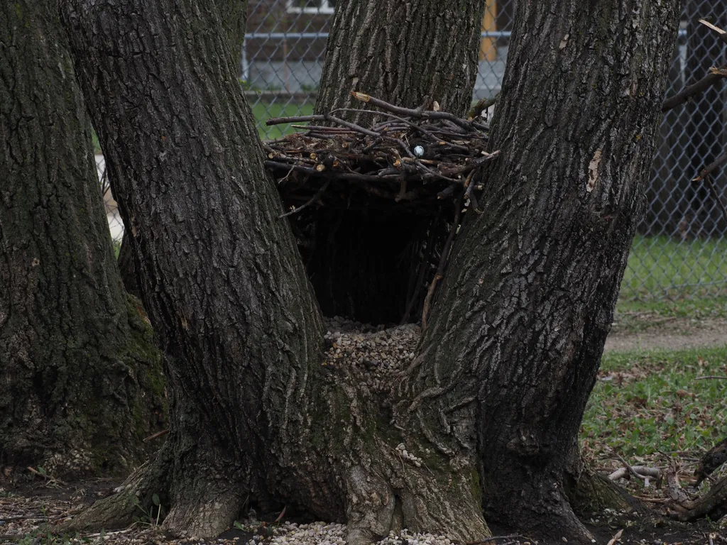 a structure built into a tree
