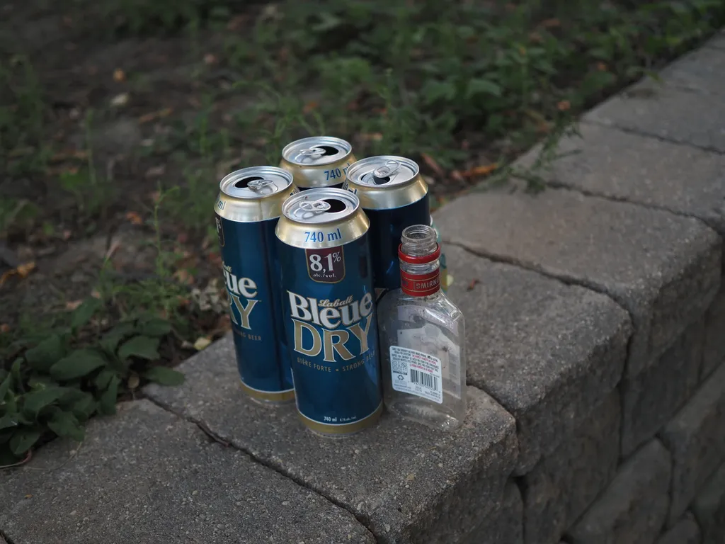 four tall boys and a mickey of vodka, all empty, aranged neatly beside a path