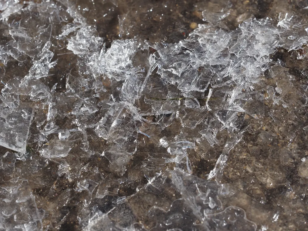 chips of ice on the top of a pond