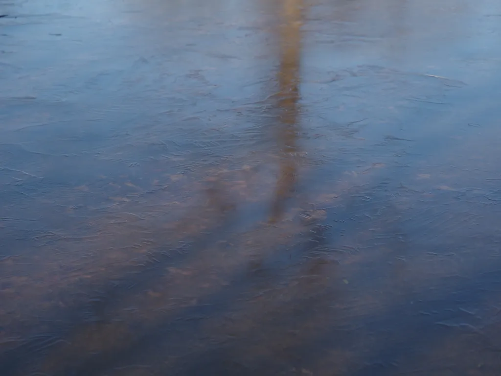 a tree reflected in textured ice on a frozen puddle