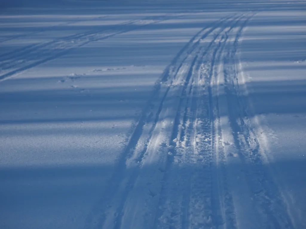 bike tracks through fresh snow on a river