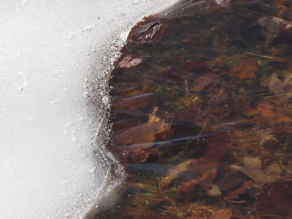 a frozen pond