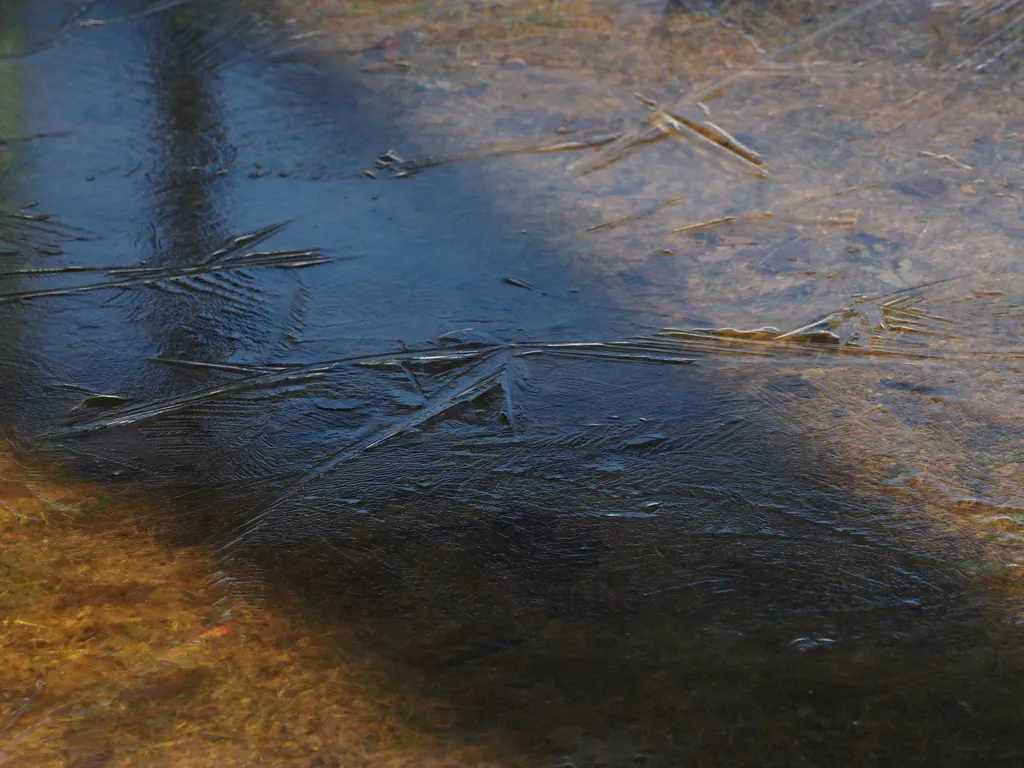 a frozen puddle