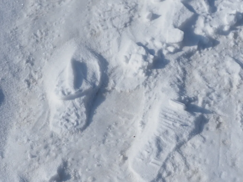 inverted footprints on a frozen path