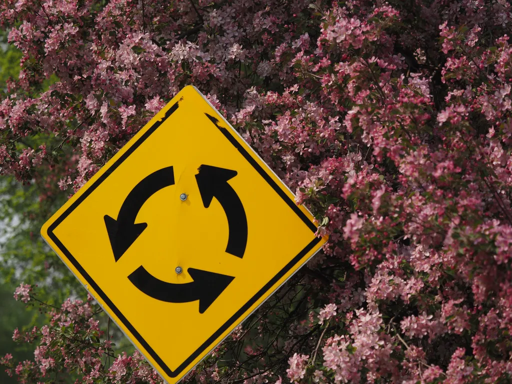 A yellow roundabout sign surrounded by branches full of pink flowers