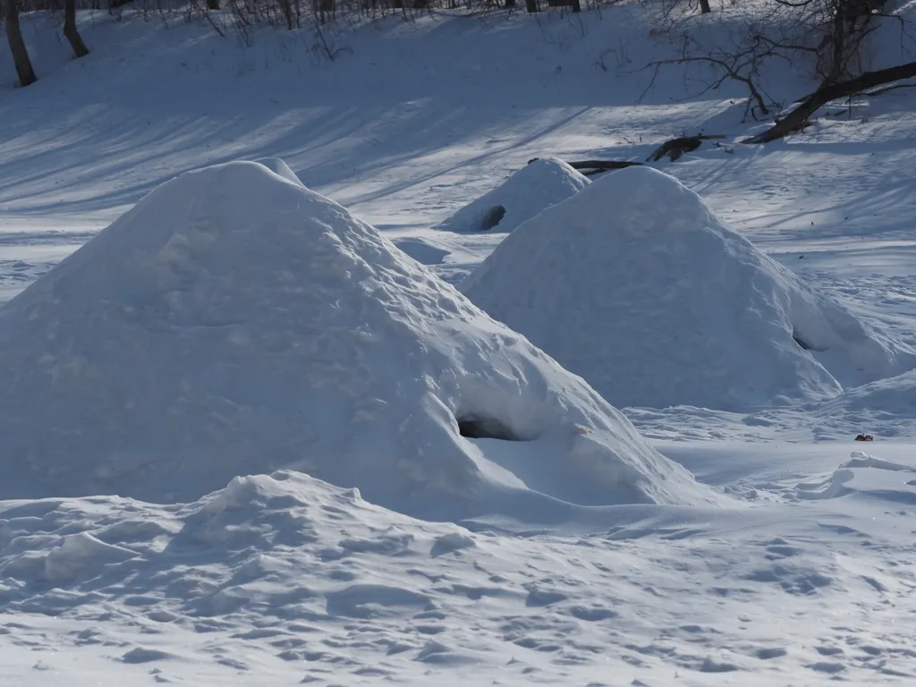 snow huts on a frozen river