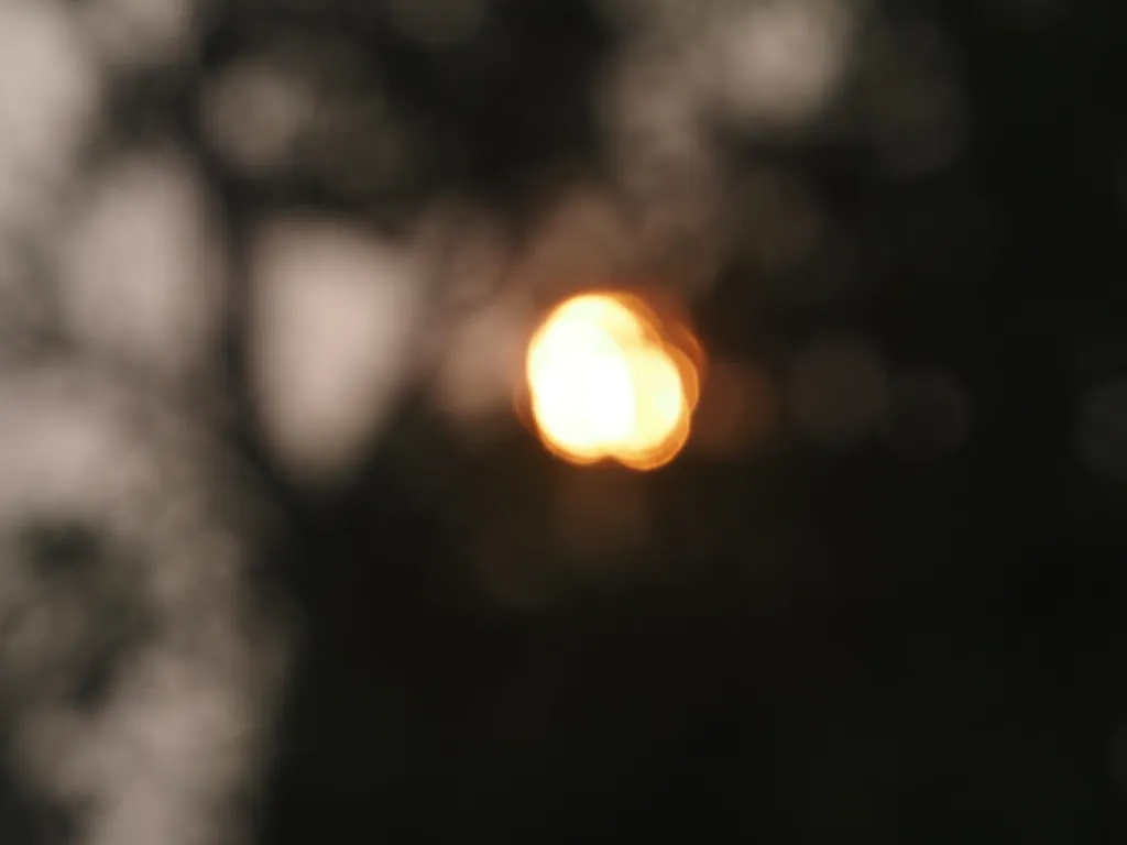 a deliberately-out-of-focus photo of a bright orange sun behind leafy trees. Only the vague outline of the tree is visible and the sun itself is several small overlapping circles