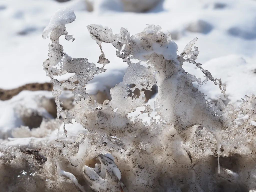 hard crusty snow rising up impossibly from a snow drift