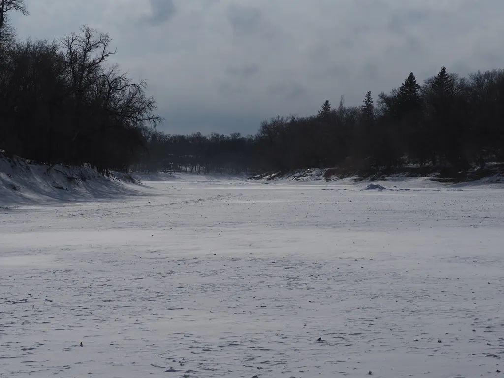 a snow-covered river surrounded by trees