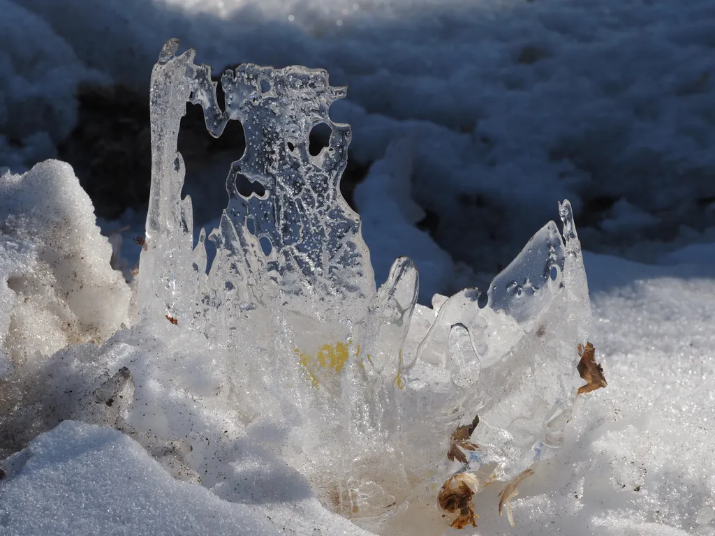 the thin walls of a partially-melted ice container