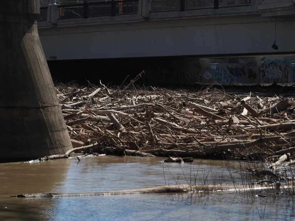 logs and other detritus jammed up under a bridge in a swelling river