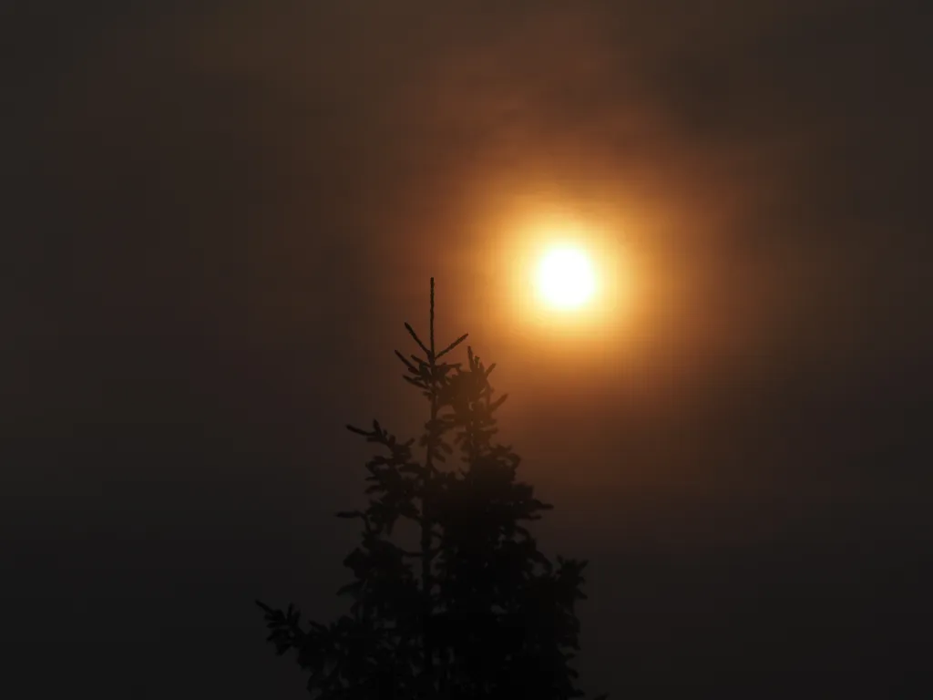 an orange sun in a grey smoky sky