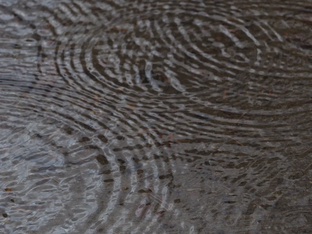 circular ripples in a puddle on a rainy day