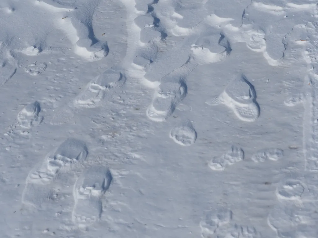 inverted footprints on a frozen path