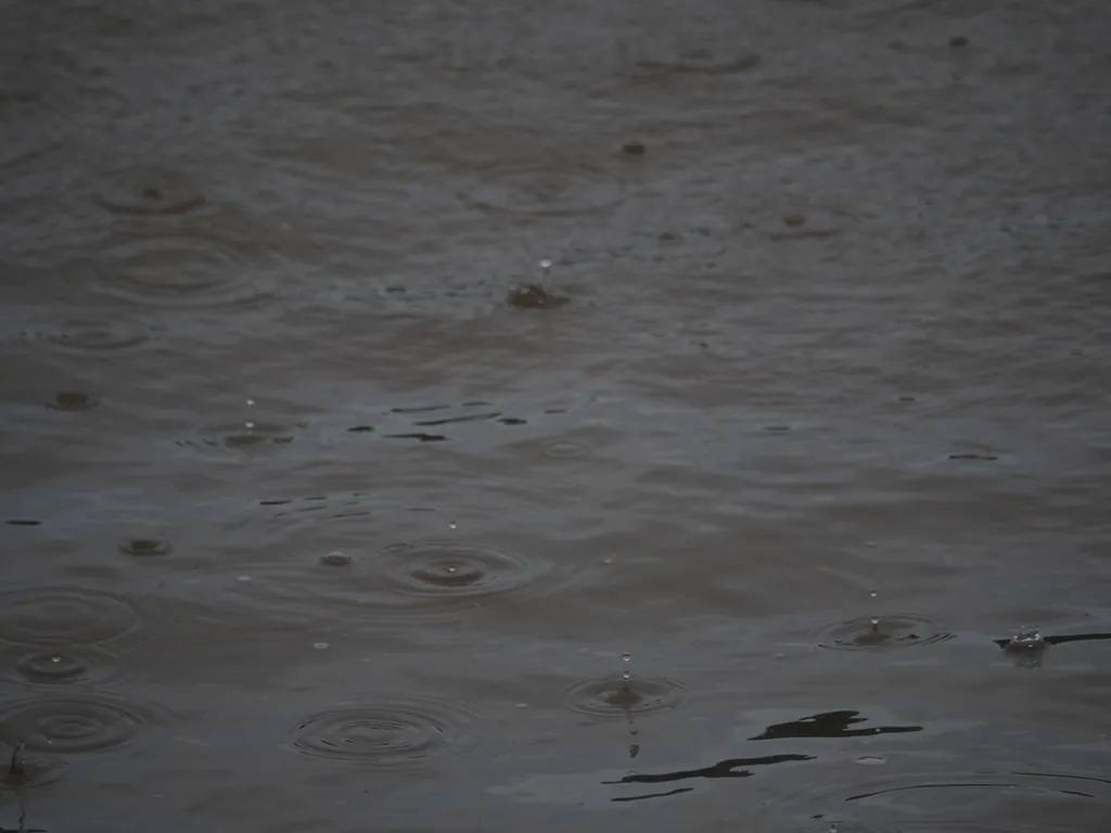 rain falling on a dark river