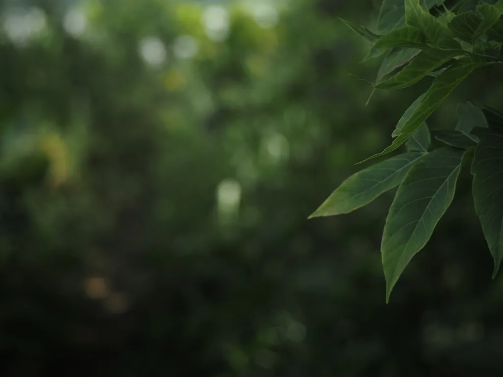 green leaves visible against an out-of-focus green background