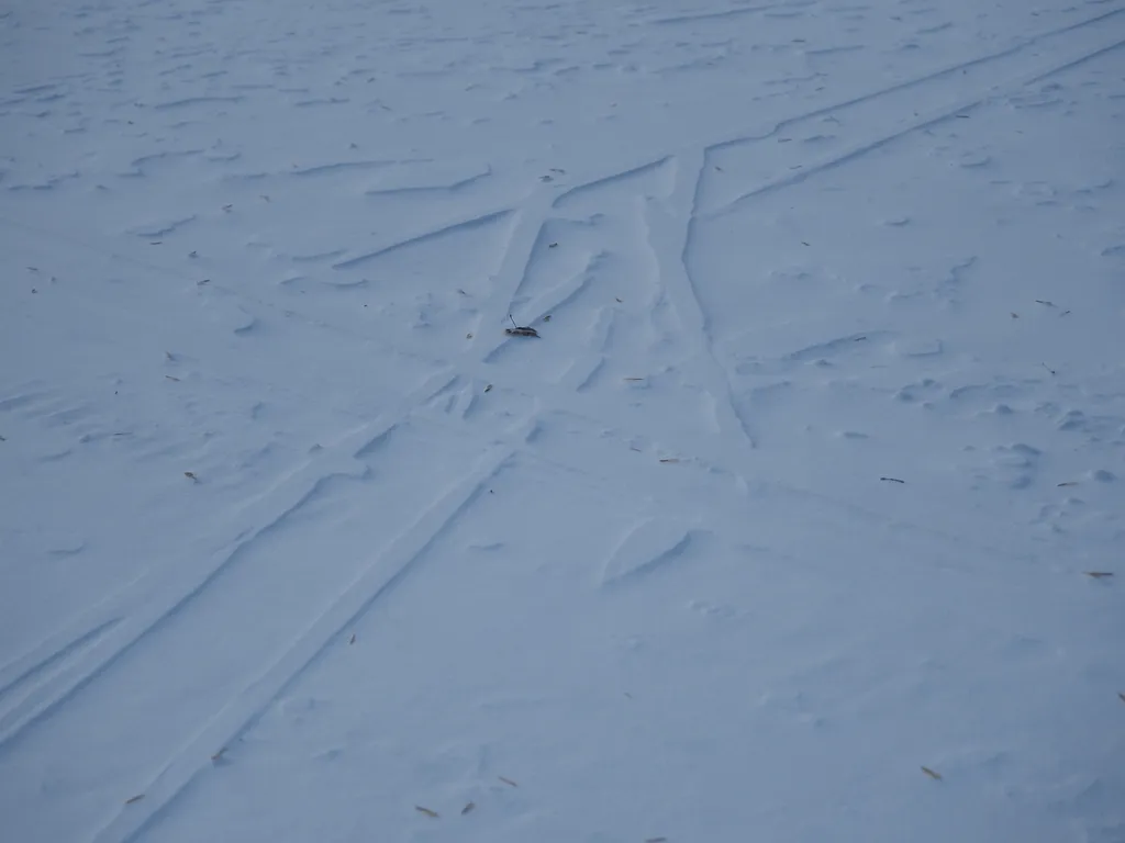 inverted ski tracks on a frozen river