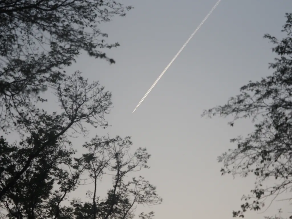 the contrail of a jet in a light-grey cloudless sky