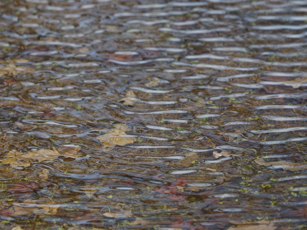 small waves on a shallow puddle in a field