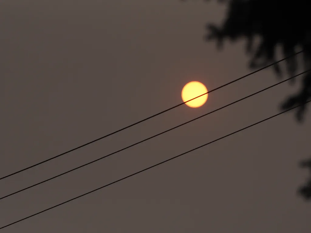 an orange sun behind power lines